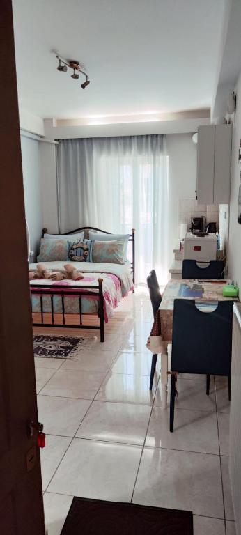 SeaSide Apartment Rio - MATURAMENTO DELLA STUDIO