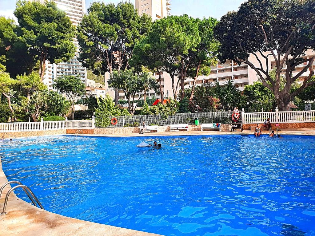 Bazén v ubytování Apartamento un dormitorio en Benidorm nebo v jeho okolí