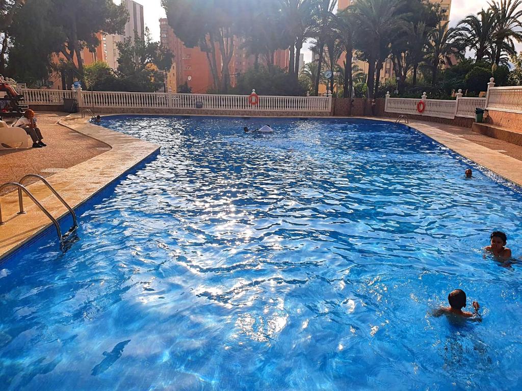 Bazén v ubytování Apartamento un dormitorio en Benidorm nebo v jeho okolí