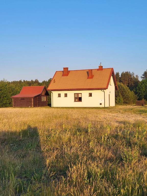 Biały dom z czerwonym dachem na polu w obiekcie Domek na Górce Niedźwiedzi Róg w mieście Niedźwiedzi Róg