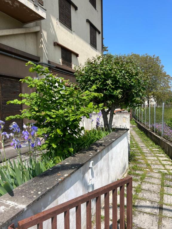 ściana utrzymująca drzewo w ogrodzie w obiekcie Casa Vacanza Regina w mieście Roccaraso