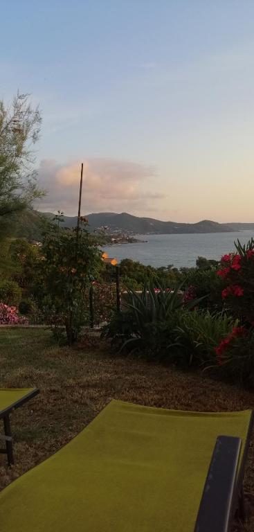 un court de tennis vert avec vue sur l'eau dans l'établissement Le repaire des pirates, à Pietrosella