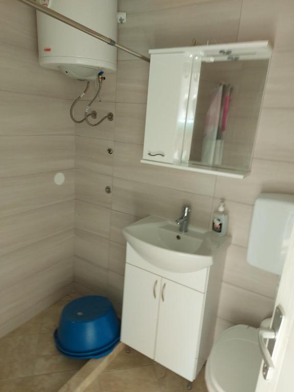 Koupelna v ubytování Crni Bor Sutomore