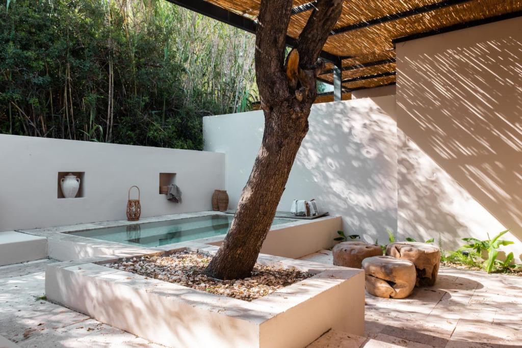 a swimming pool with a tree in a courtyard at GAIA Alaçatı BY THE SEA - Adult Only in Çeşme