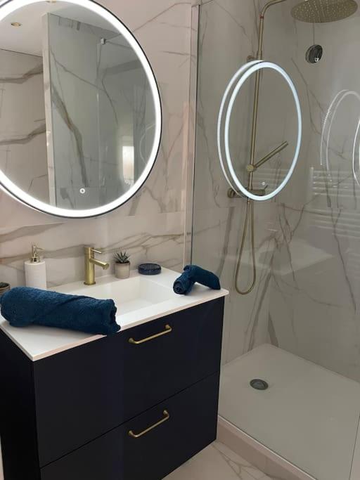 une salle de bain avec un lavabo et une douche avec un miroir dans l'établissement Appartement de charme 80m2, à Givors