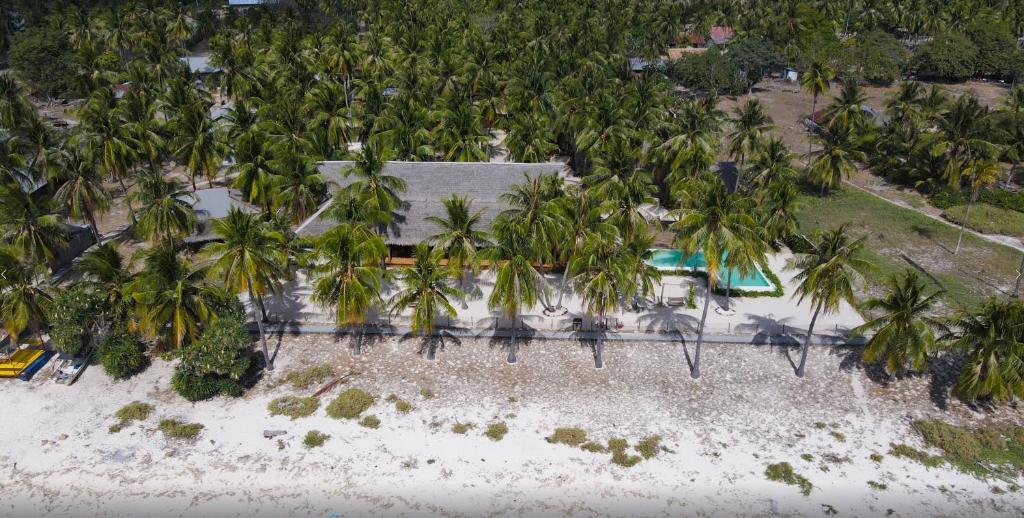 een luchtzicht op een resort met palmbomen bij 81 Palms Resort in Nembrala