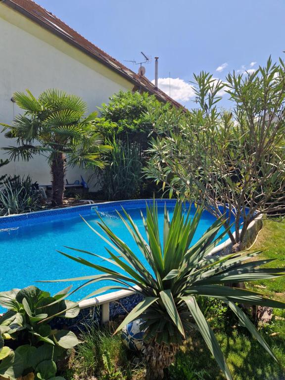 a swimming pool in front of a house with plants at Farm Stay NH Stables in Nýřany