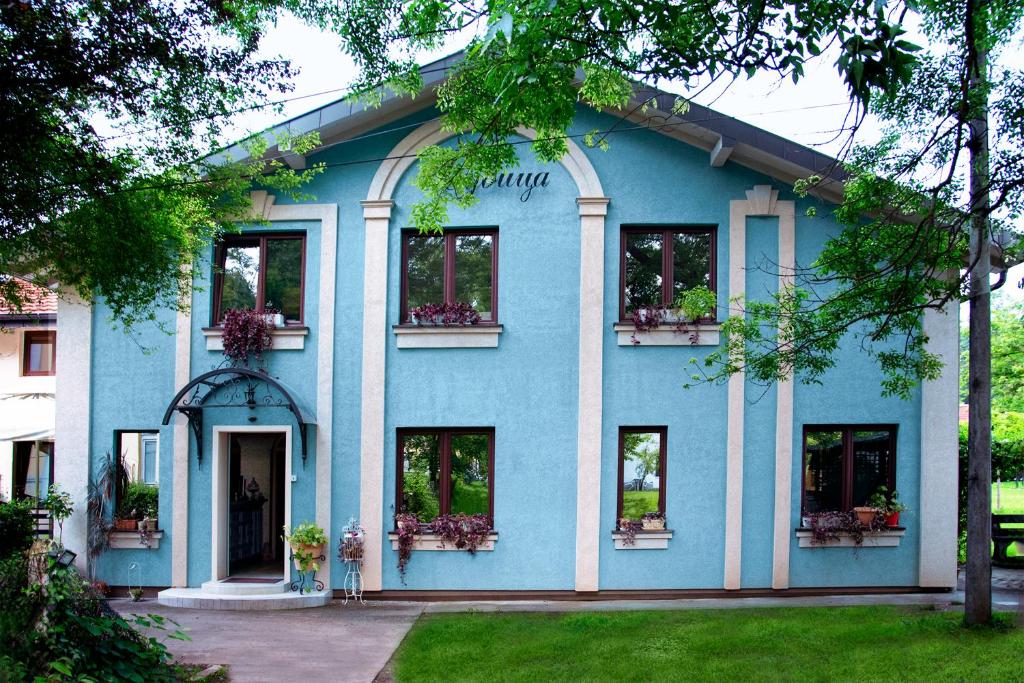 a blue building with windows and potted plants at Vila Ljubica in Vrnjačka Banja