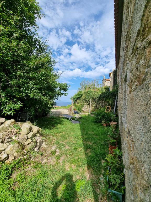 un mur en pierre à côté d'une cour avec un arbre dans l'établissement Alojamiento Casa Carlota, à Villadesuso