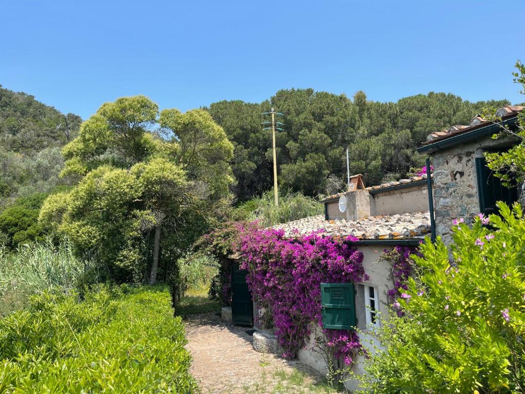 una casa con flores a un lado. en The Old Mill with Private Garden and Torrent, en Portoferraio