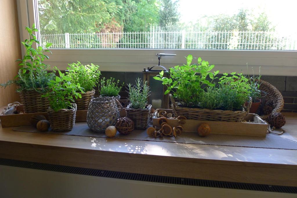 Hotel Mercedes City - Resim 25