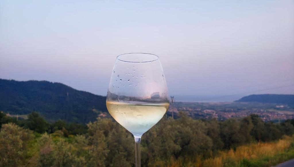 un verre de vin blanc assis au sommet d'une colline dans l'établissement Vinomare Guesthouse, à Fosdinovo