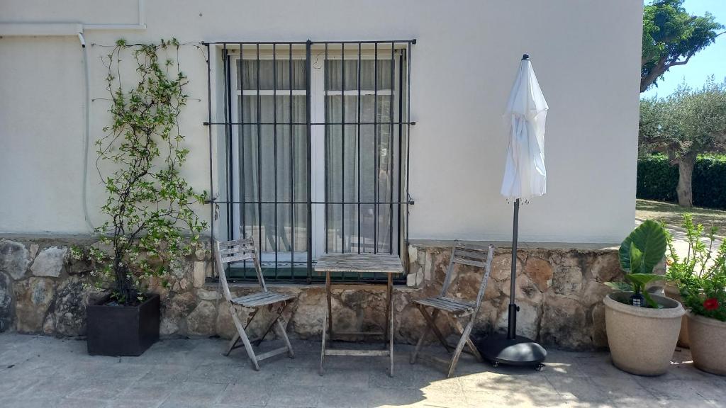 A garden outside Apartments in Villa Isabel
