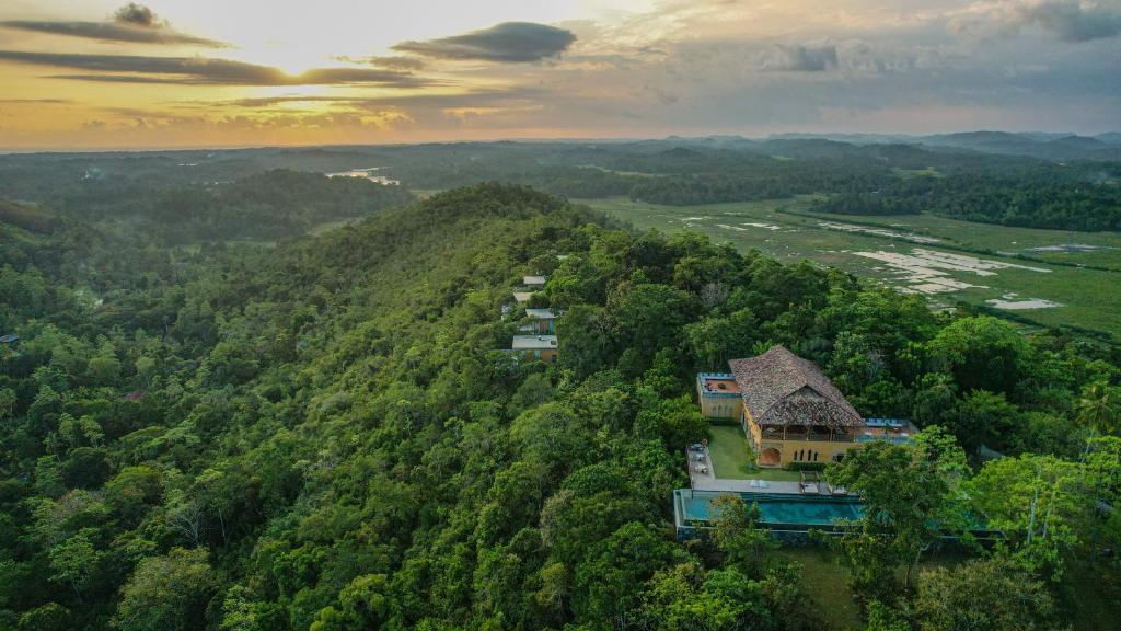 an aerial view of a house in the middle of a forest at Malabar Hill in Weligama