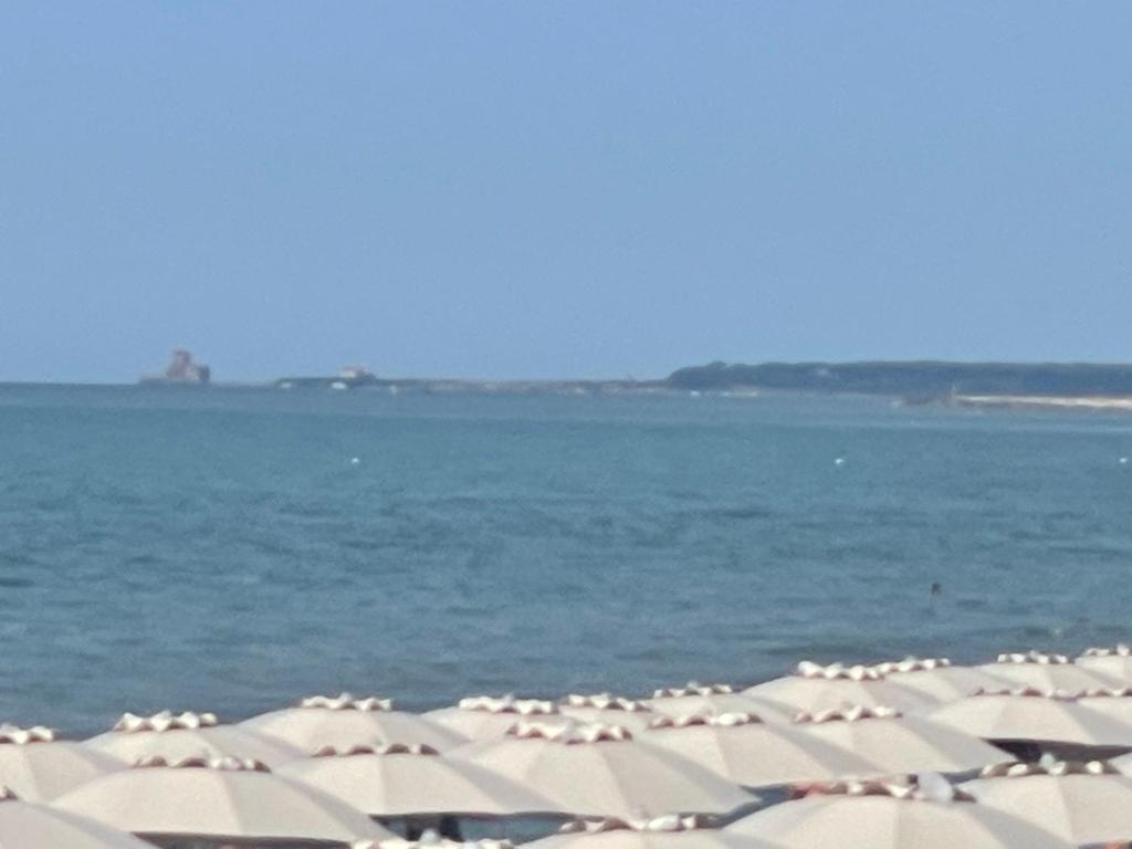 Táj Show holiday homes közelében