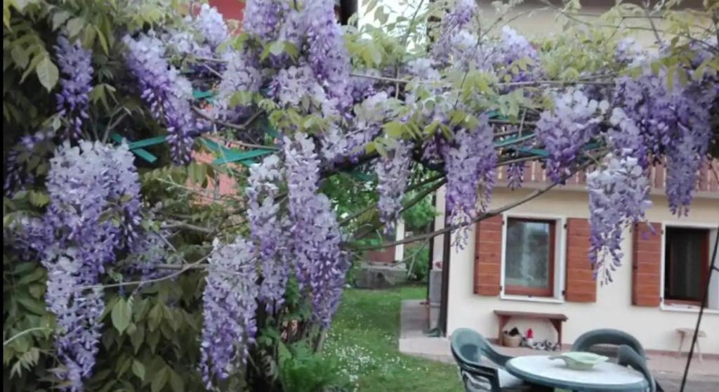 Glicine delle Dolomiti - Double Room With Private Bathroom