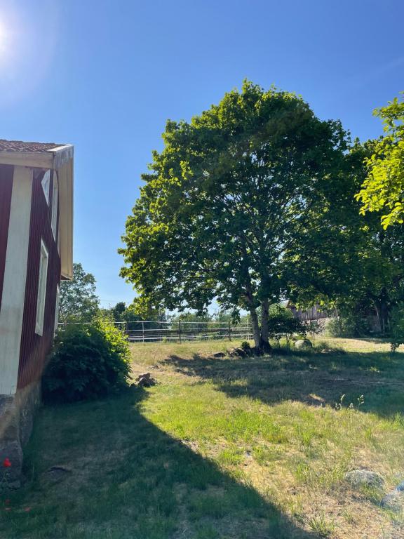 Zahrada ubytování Cottage with beautiful nature, open landscape, forest and lakes