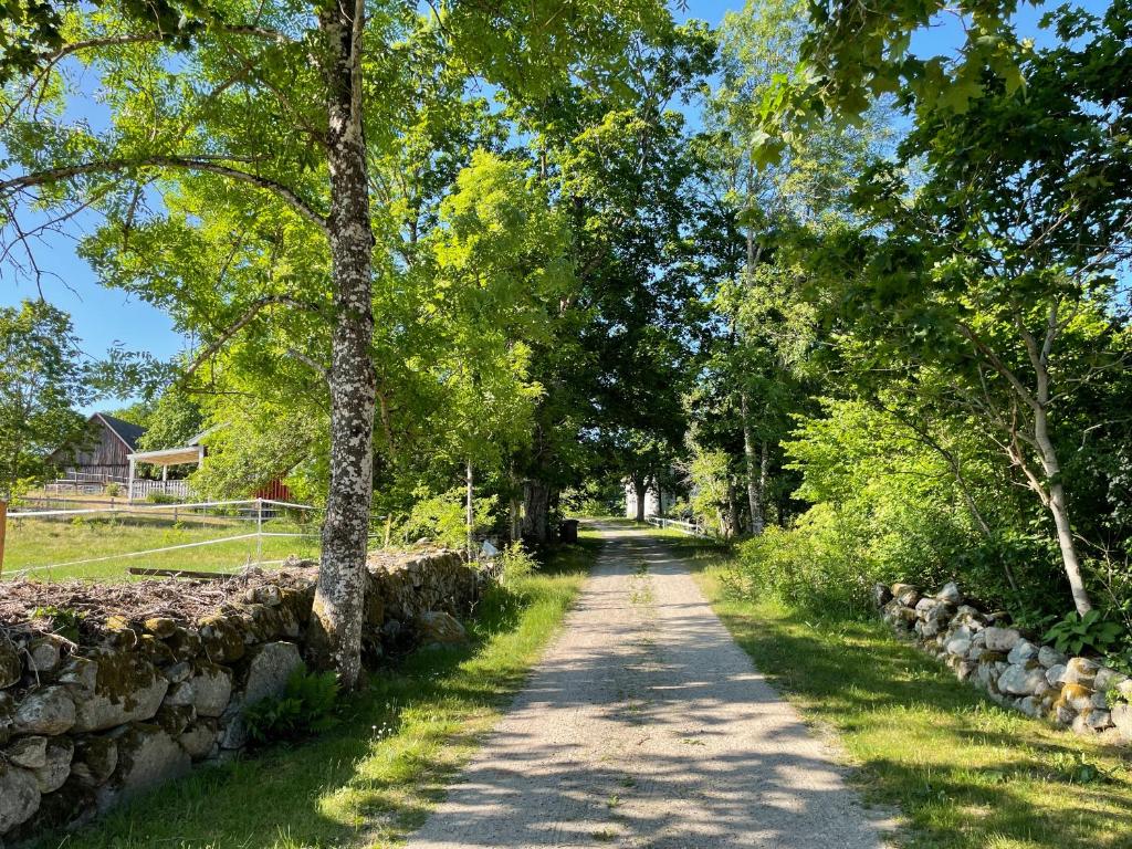 a dirt road with trees and a stone wall at Cottage with beautiful nature, open landscape, forest and lakes I X I Stuga med fin natur, öppna landskap, skog och sjöar in Tingsryd
