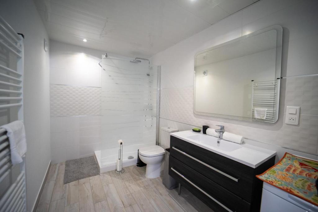 a bathroom with a sink and a toilet and a mirror at Les cerisiers un petit coin de paradis pour deux proche du lac! in Sévrier
