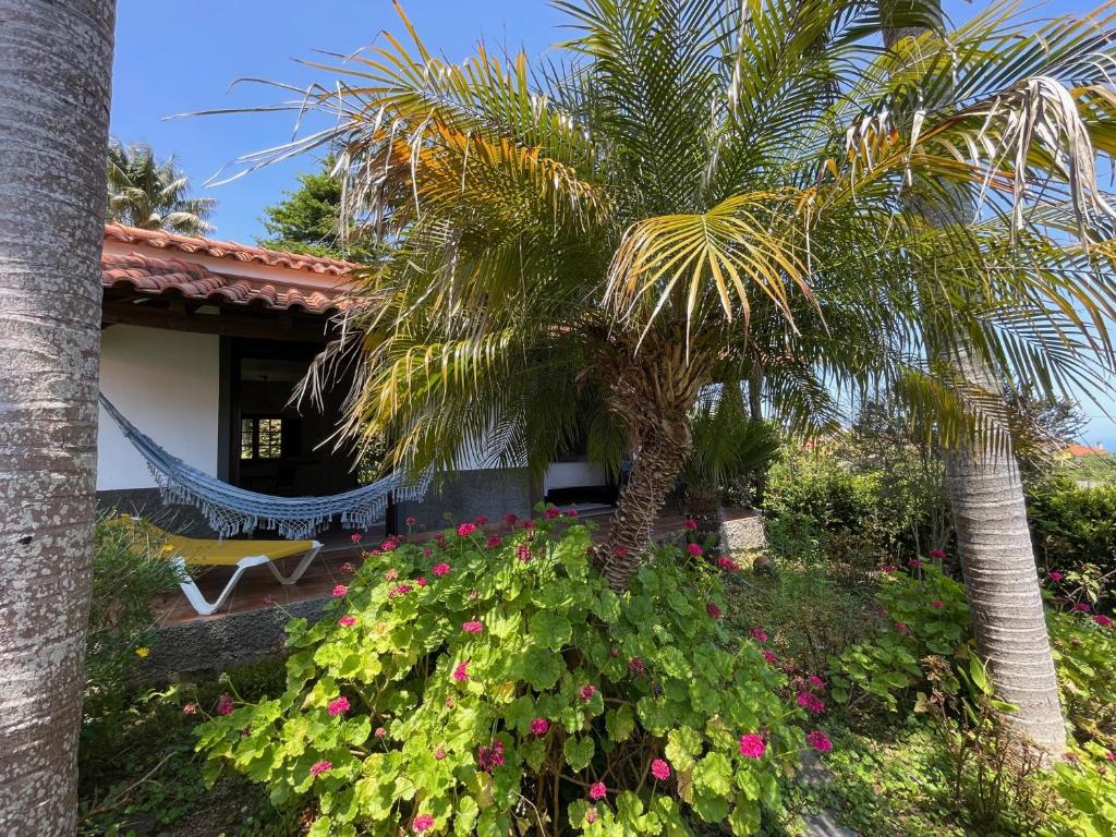 Een tuin van Casas de Campo do Pomar B&B - Self Check-in