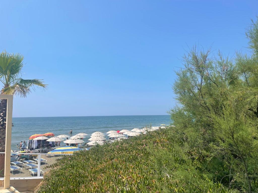 Táj Show holiday homes közelében