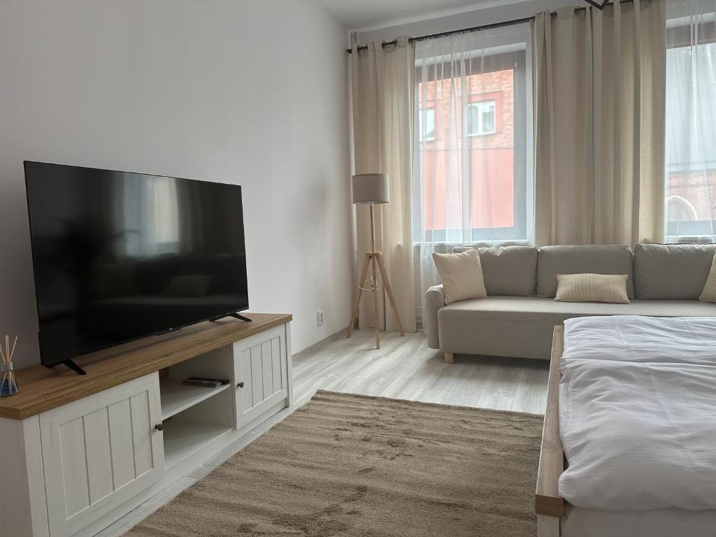TV a/nebo společenská místnost v ubytování Apartamenty Przy Deptaku