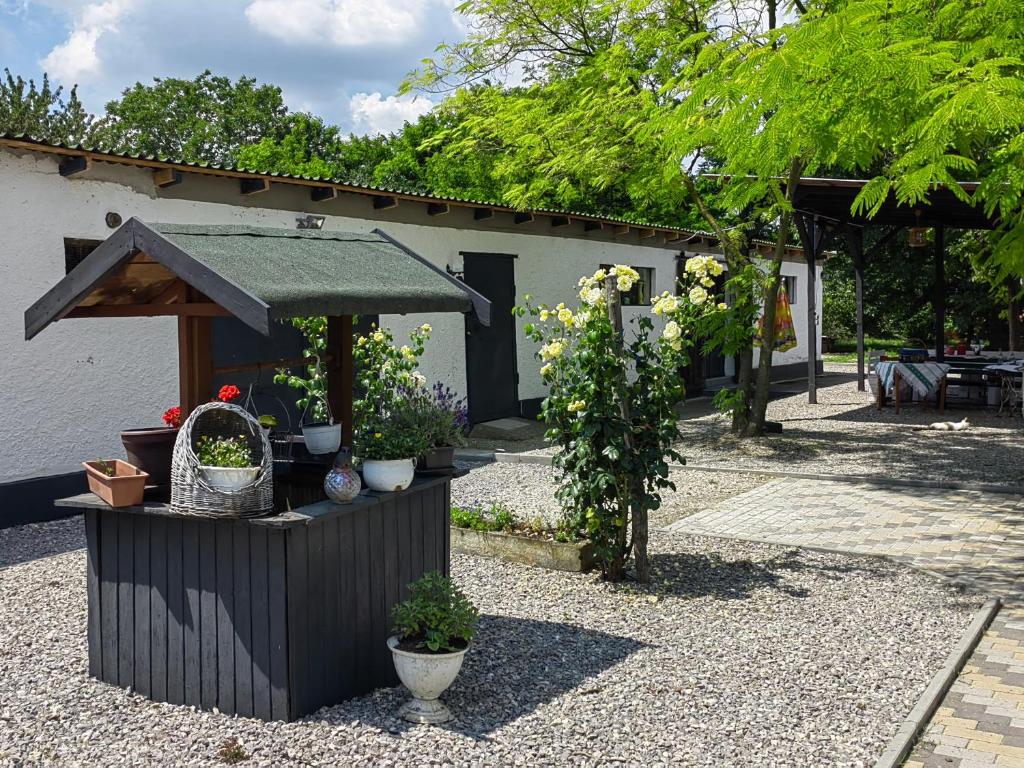 a garden with a flower stand with potted plants at Haus Lilli 