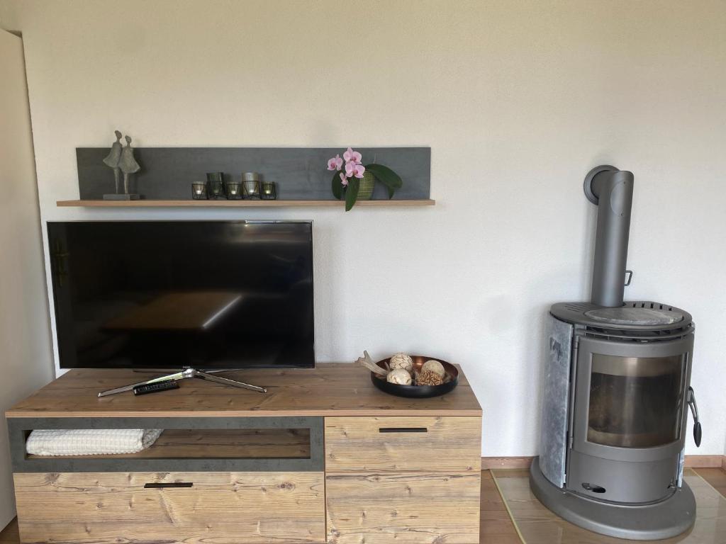 Televízia a/alebo spoločenská miestnosť v ubytovaní Garten Apartment Diwoky