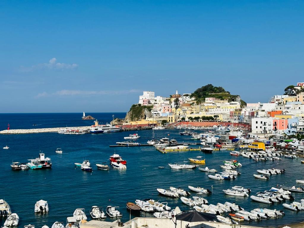 um grupo de barcos na água em um porto em Casa Silvia - Immobilevante em Ponza