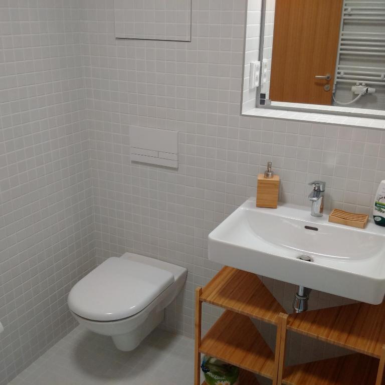 Koupelna v ubytování Apartmán u Skiareálu Filipovice