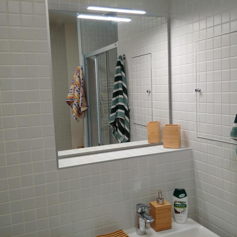 Koupelna v ubytování Apartmán u Skiareálu Filipovice