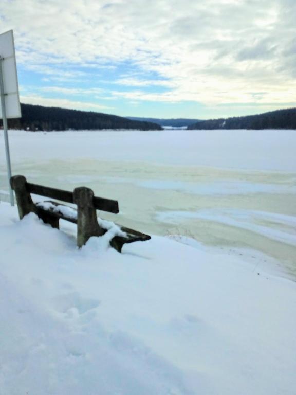 Příroda nedaleko apartmánu