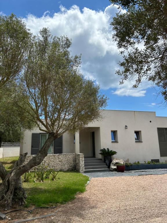 Fotografie z fotogalerie ubytování La villa Serena v destinaci Bonifacio