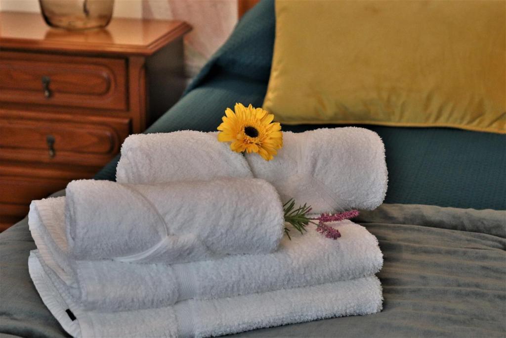 Apartamentos Francisco Martins - 14