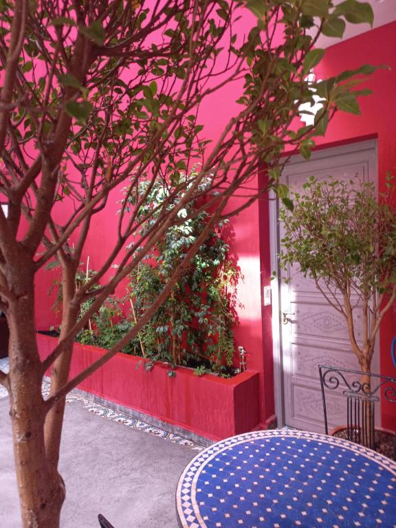 Fotografie z fotogalerie ubytování Riad Hilmuna Hammam et Spa v Marrákéši