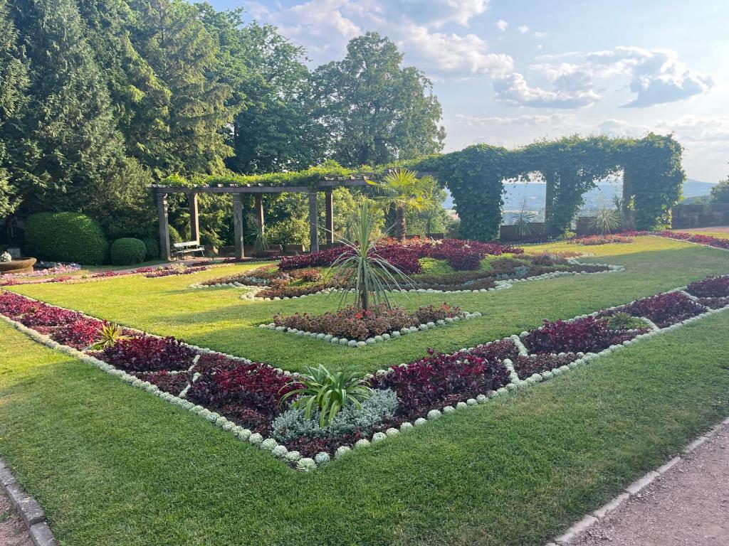 Zahrada ubytování Villa Florentine