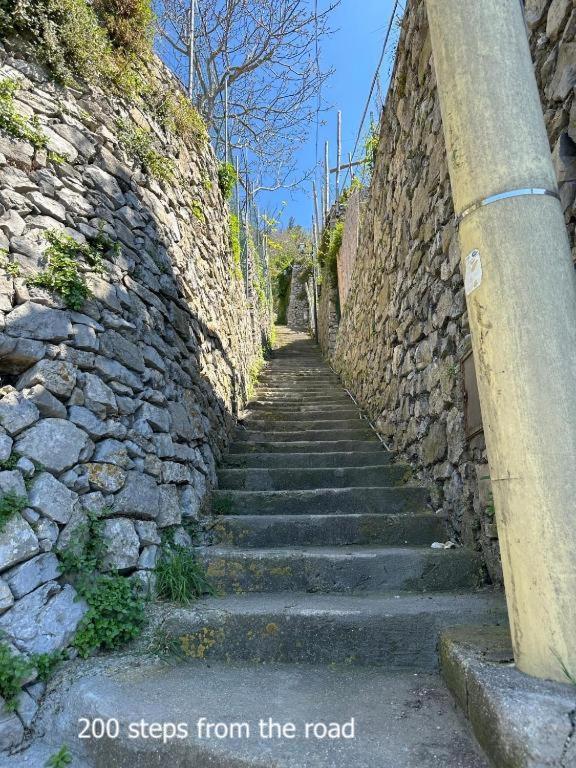Fotografie z fotogalerie ubytování B&B Mamma Rosa Positano v destinaci Positano