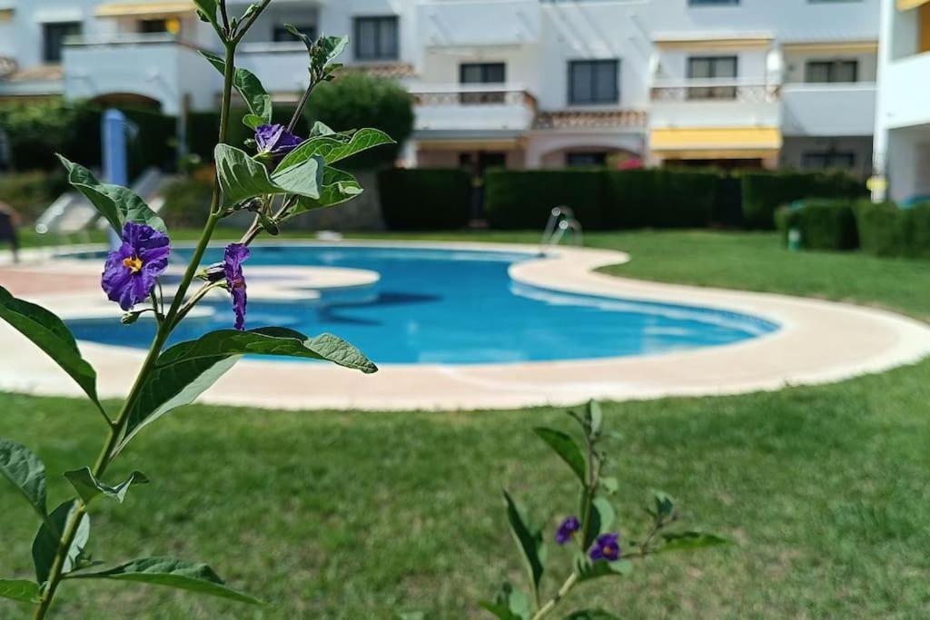een plant met paarse bloemen naast een zwembad bij El Refugio Paz y Tranquilidad Benalmadena Costa del Sol in Benalmádena
