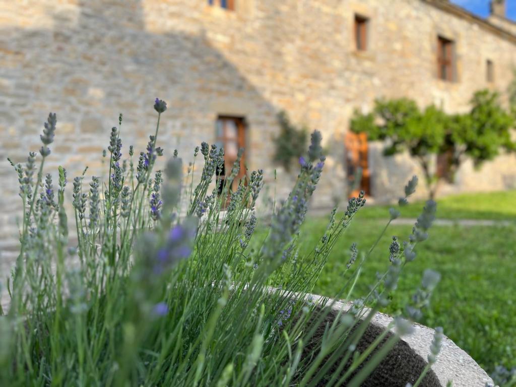 a garden with purple flowers in front of a stone building at La Abadia in Coscojuela de Sobrarbe