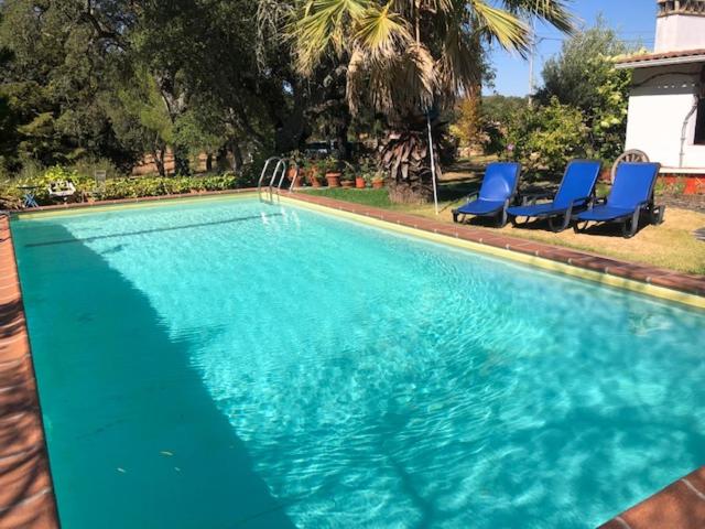 een groot zwembad met blauwe stoelen ernaast bij Monte do Rei Santo in Arronches