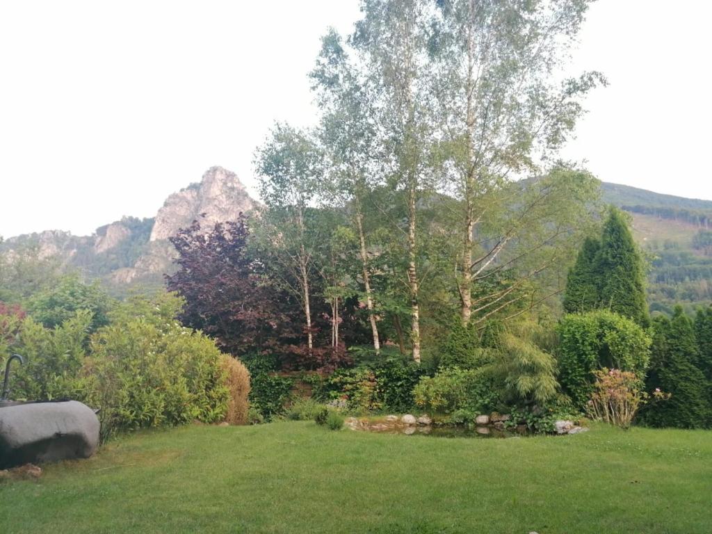 a field of green grass with trees and bushes at Appartment Nocksteinblick in Guggenthal