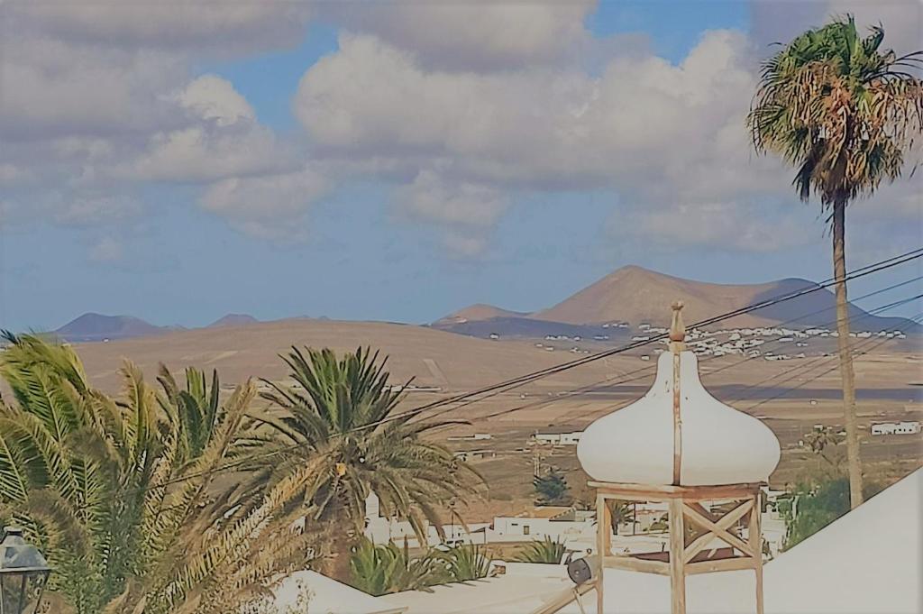 widok na pustynię z palmą i budynek w obiekcie Mara's House w mieście Nazaret