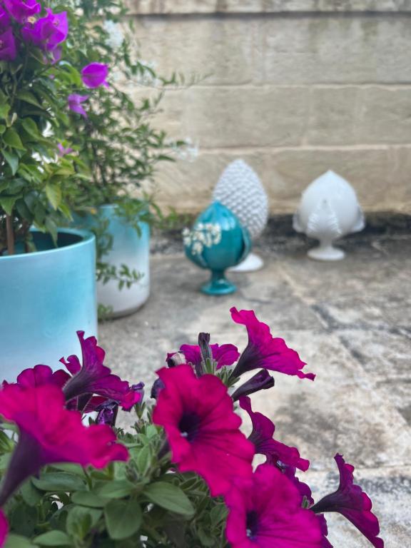 Suite Battisti 7 - 14