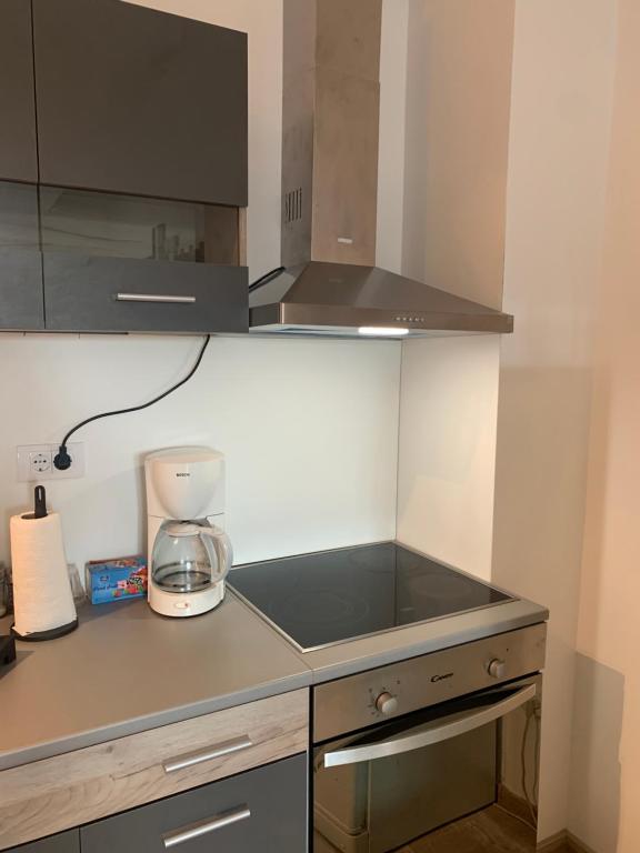 Kuchyň nebo kuchyňský kout v ubytování Apartman-Stefanovic