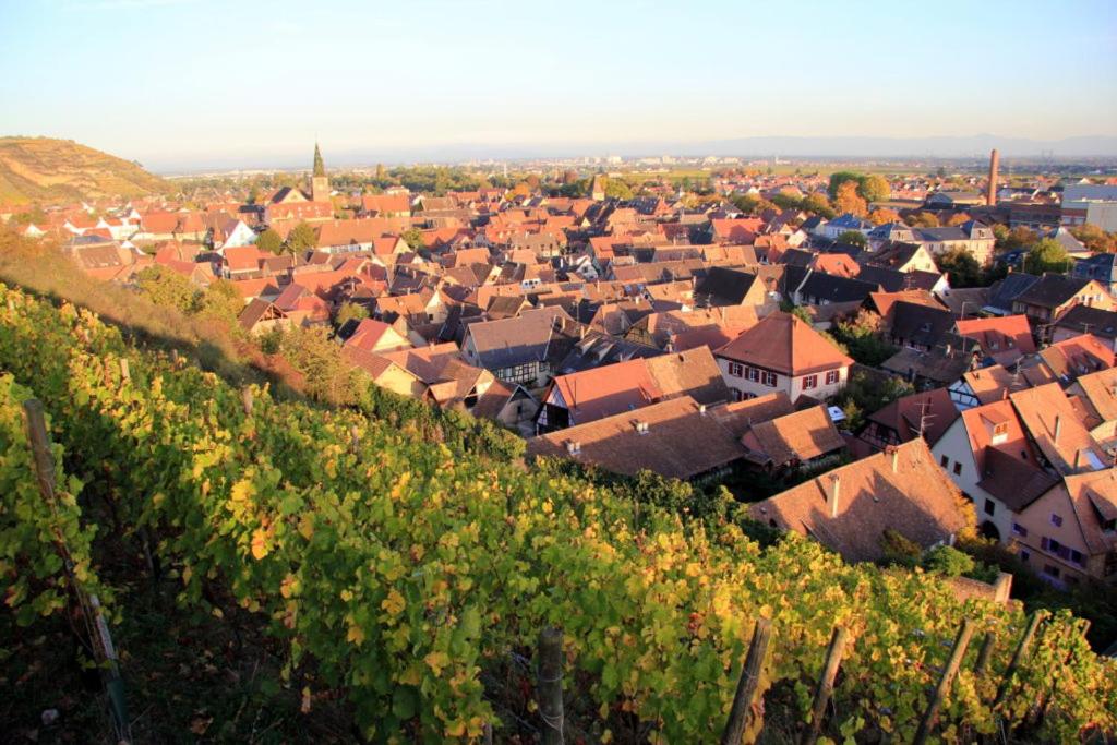 Le 6 : maison individuelle au cœur de l'Alsace – photo 34