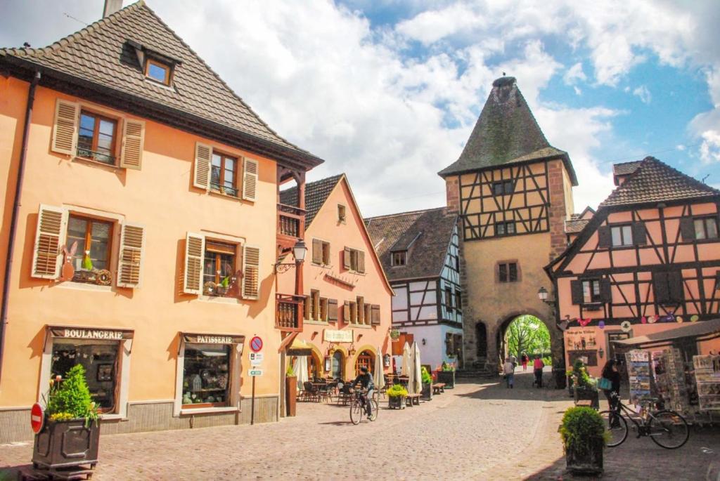 Le 6 : maison individuelle au cœur de l'Alsace – photo 6