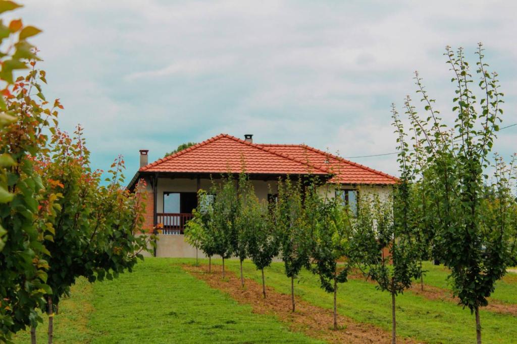 una casa frente a una fila de árboles en Villa Sladjana, en Mladenovac