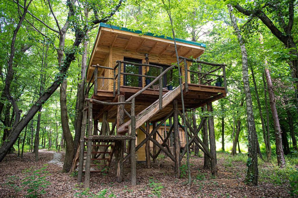 uma casa na árvore no meio da floresta em Living Forest Resort em Moravske-Toplice