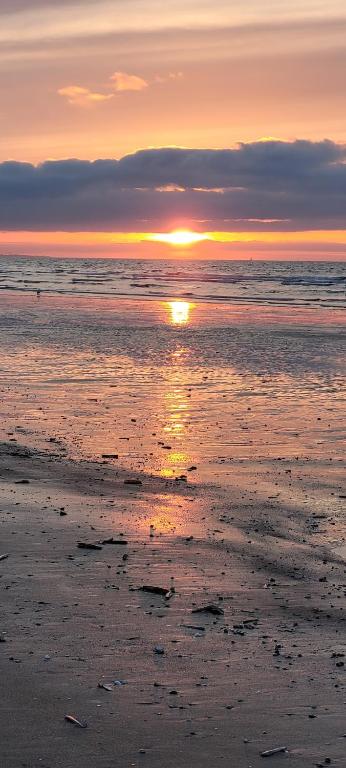 Villers Plage 1 - Appartement