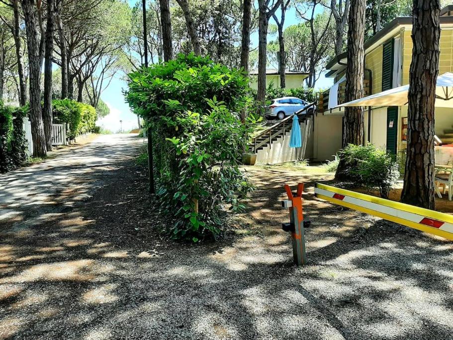 Fotografie z fotogalerie ubytování CASA LOLITA v destinaci Eraclea Mare